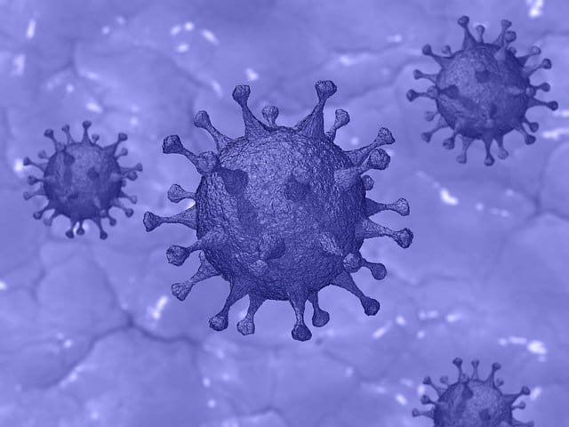 Künstlerische Darstellung des SARS-CoV-2-Virus nach dem beim Corona-Test gesucht wird.